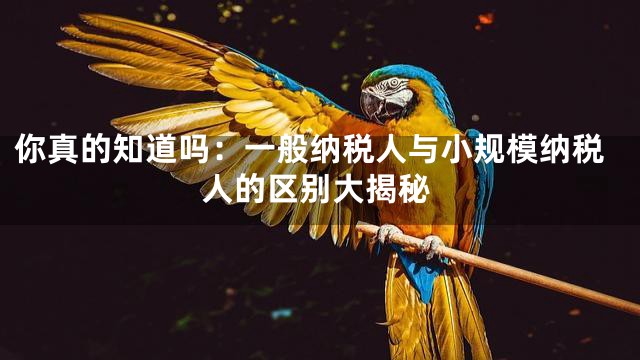 你真的知道吗：一般纳税人与小规模纳税人的区别大揭秘