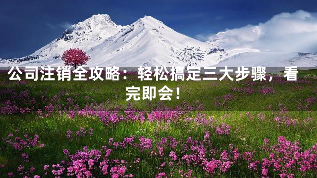 公司注销全攻略：轻松搞定三大步骤，看完即会！