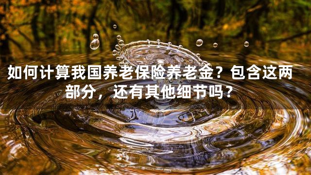 如何计算我国养老保险养老金？包含这两部分，还有其他细节吗？