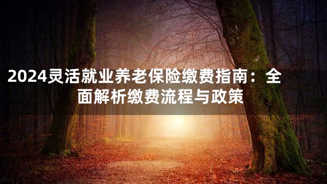 2024灵活就业养老保险缴费指南：全面解析缴费流程与政策