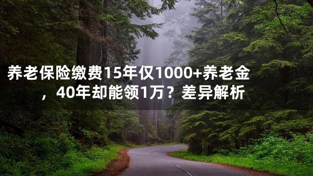 养老保险缴费15年仅1000+养老金，40年却能领1万？差异解析