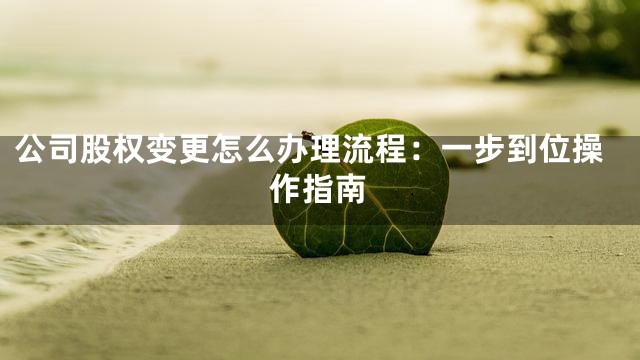 公司股权变更怎么办理流程：一步到位操作指南