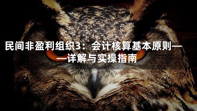 民间非盈利组织3：会计核算基本原则——详解与实操指南