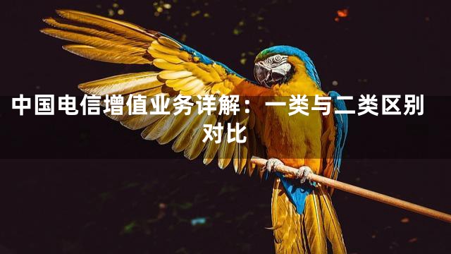 中国电信增值业务详解：一类与二类区别对比