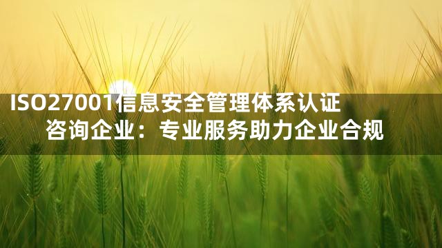 ISO27001信息安全管理体系认证咨询企业：专业服务助力企业合规