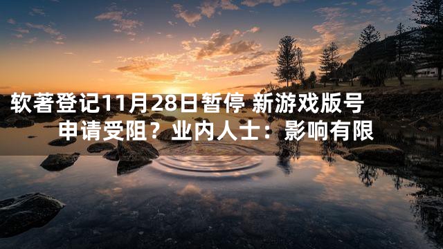 软著登记11月28日暂停 新游戏版号申请受阻？业内人士：影响有限