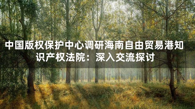 中国版权保护中心调研海南自由贸易港知识产权法院：深入交流探讨