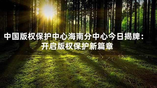 中国版权保护中心海南分中心今日揭牌：开启版权保护新篇章