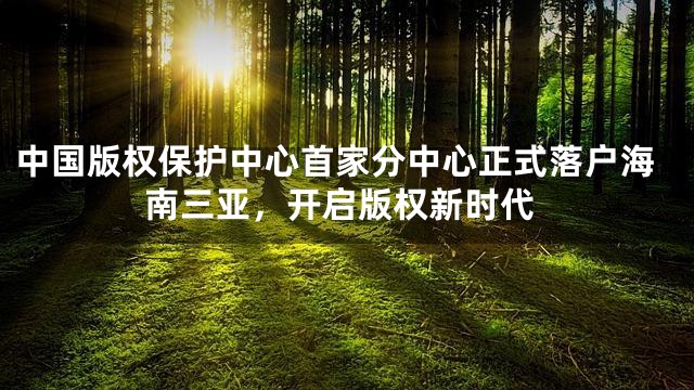 中国版权保护中心首家分中心正式落户海南三亚，开启版权新时代