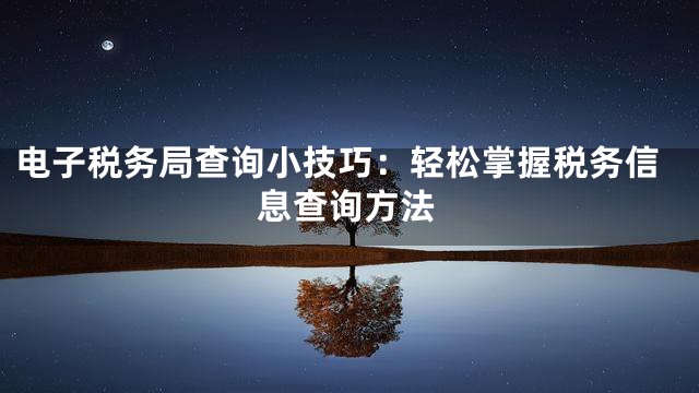 电子税务局查询小技巧：轻松掌握税务信息查询方法