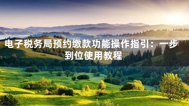 电子税务局预约缴款功能操作指引：一步到位使用教程
