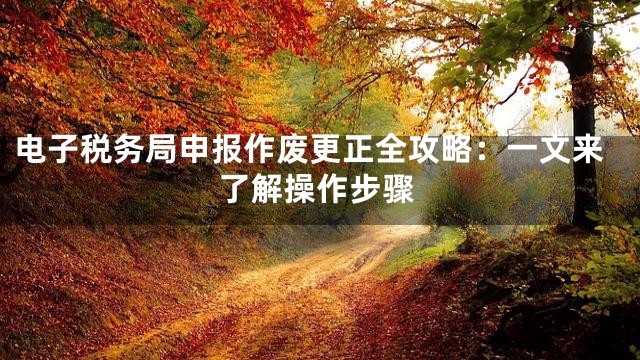 电子税务局申报作废更正全攻略：一文来了解操作步骤