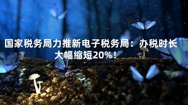 国家税务局力推新电子税务局：办税时长大幅缩短20%！