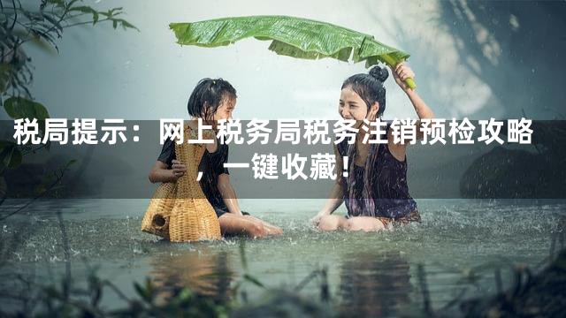税局提示：网上税务局税务注销预检攻略，一键收藏！