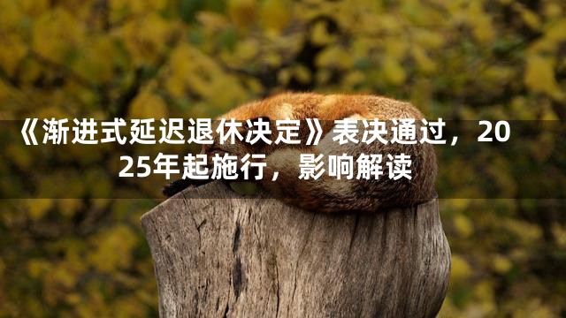 《渐进式延迟退休决定》表决通过，2025年起施行，影响解读