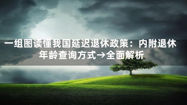 一组图读懂我国延迟退休政策：内附退休年龄查询方式→全面解析