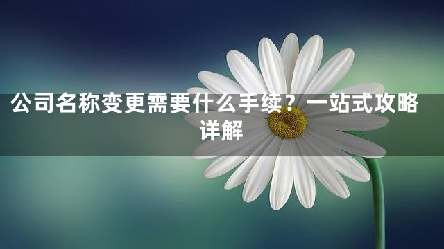 公司名称变更需要什么手续？一站式攻略详解