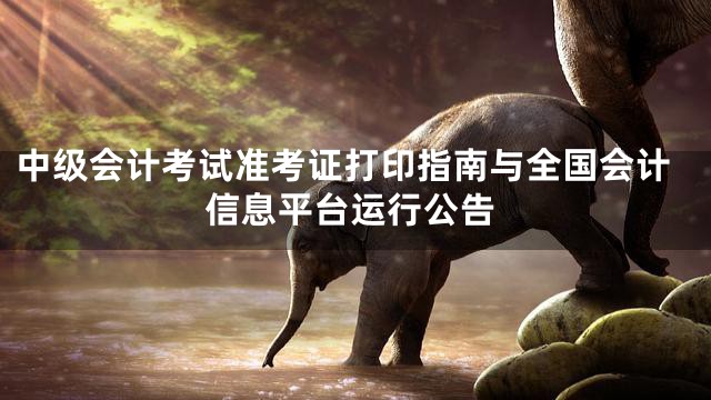 中级会计考试准考证打印指南与全国会计信息平台运行公告