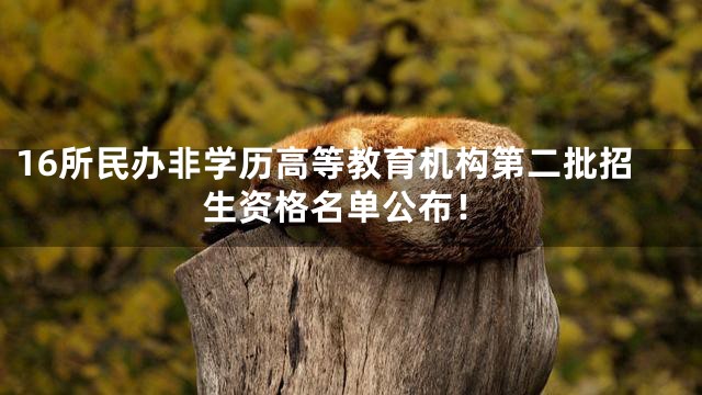 16所民办非学历高等教育机构第二批招生资格名单公布！