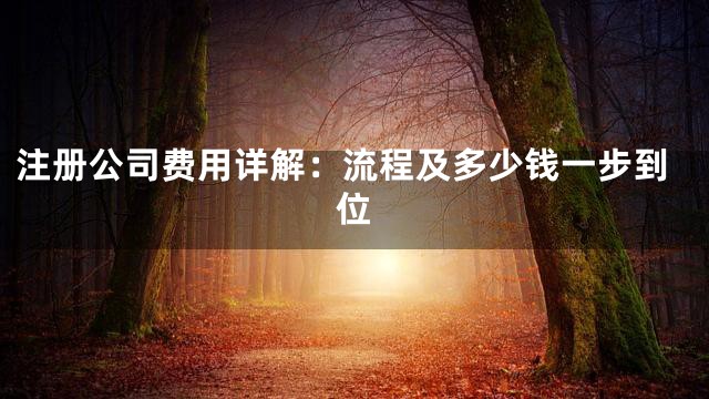 注册公司费用详解：流程及多少钱一步到位