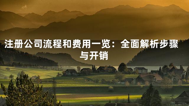 注册公司流程和费用一览：全面解析步骤与开销