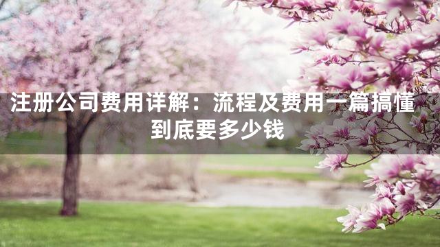 注册公司费用详解：流程及费用一篇搞懂到底要多少钱