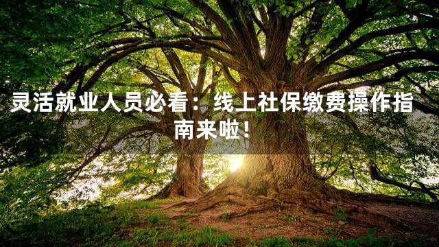 灵活就业人员必看：线上社保缴费操作指南来啦！