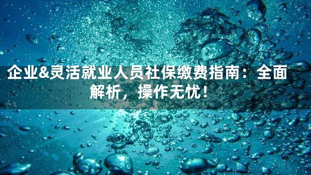 企业&灵活就业人员社保缴费指南：全面解析，操作无忧！