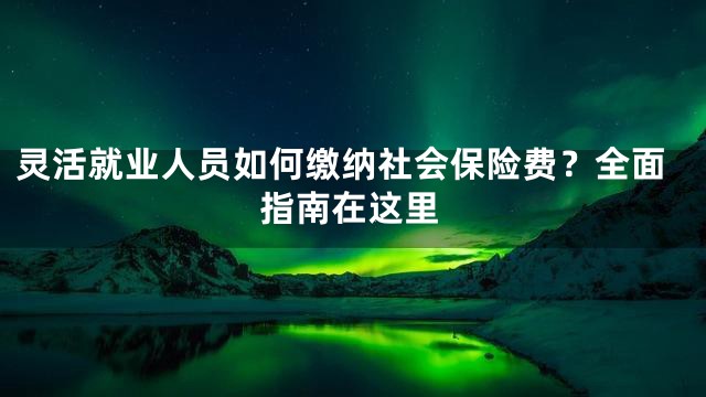 灵活就业人员如何缴纳社会保险费？全面指南在这里