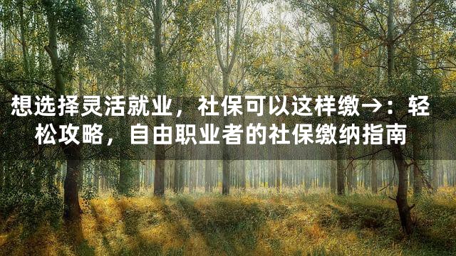 想选择灵活就业，社保可以这样缴→：轻松攻略，自由职业者的社保缴纳指南