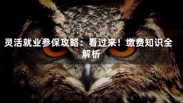 灵活就业参保攻略：看过来！缴费知识全解析