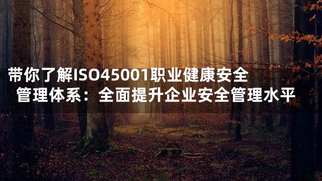 带你了解ISO45001职业健康安全管理体系：全面提升企业安全管理水平