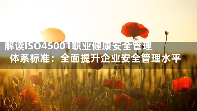 解读ISO45001职业健康安全管理体系标准：全面提升企业安全管理水平