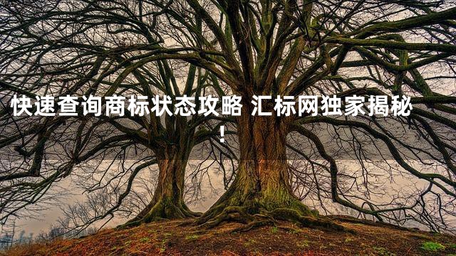 快速查询商标状态攻略 汇标网独家揭秘！