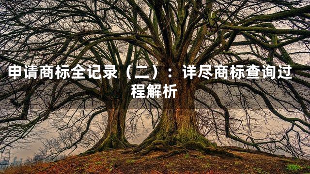 申请商标全记录（二）：详尽商标查询过程解析