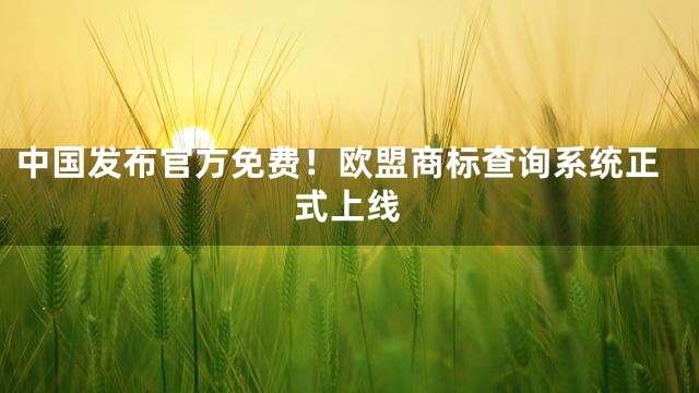 中国发布官方免费！欧盟商标查询系统正式上线