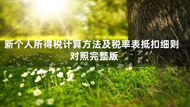 新个人所得税计算方法及税率表抵扣细则对照完整版