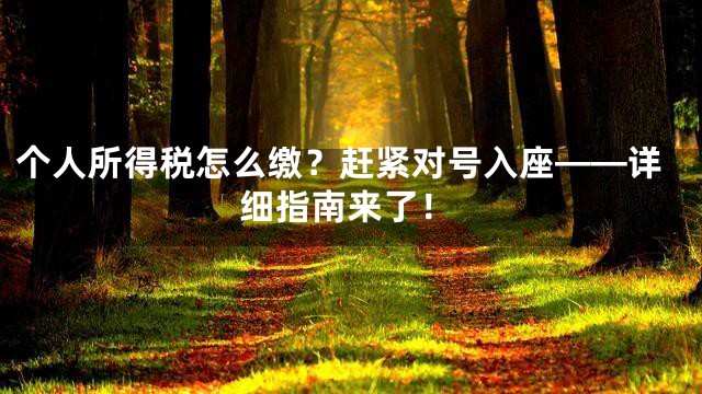 个人所得税怎么缴？赶紧对号入座——详细指南来了！