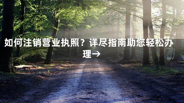 如何注销营业执照？详尽指南助您轻松办理→