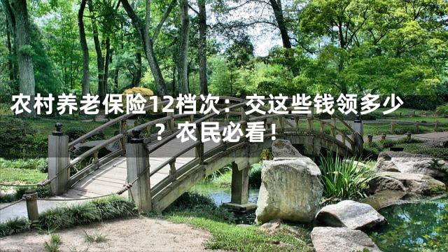 农村养老保险12档次：交这些钱领多少？农民必看！