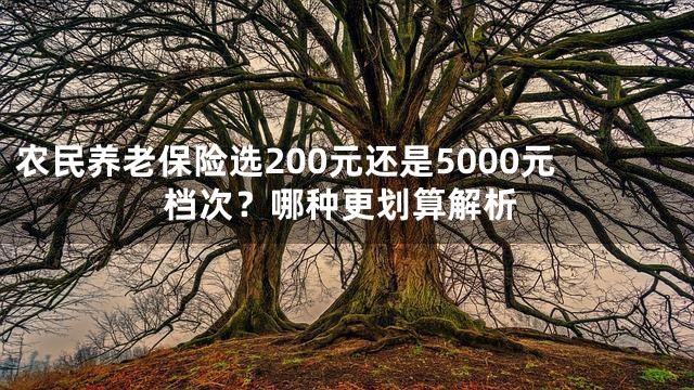 农民养老保险选200元还是5000元档次？哪种更划算解析