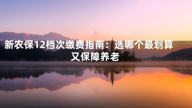 新农保12档次缴费指南：选哪个最划算又保障养老