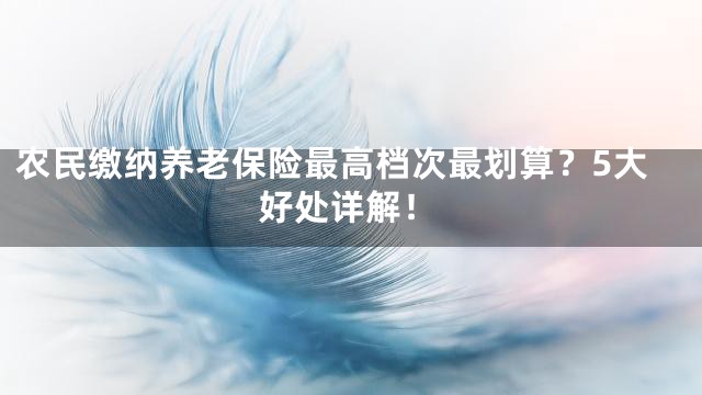 农民缴纳养老保险最高档次最划算？5大好处详解！