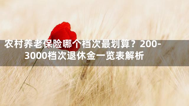 农村养老保险哪个档次最划算？200-3000档次退休金一览表解析