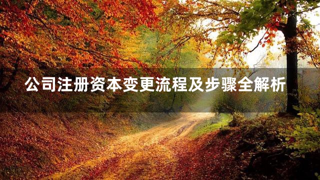 公司注册资本变更流程及步骤全解析