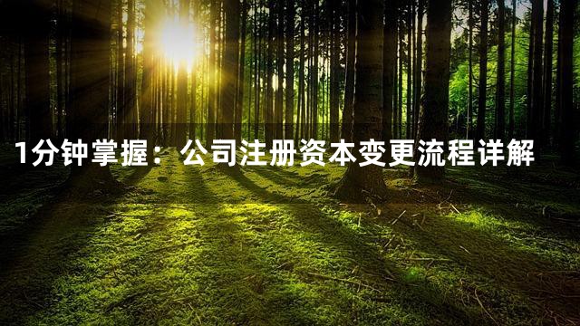 1分钟掌握：公司注册资本变更流程详解