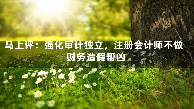 马上评：强化审计独立，注册会计师不做财务造假帮凶