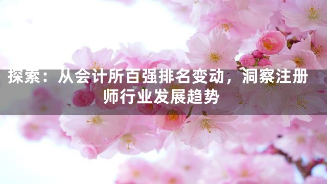 探索：从会计所百强排名变动，洞察注册师行业发展趋势