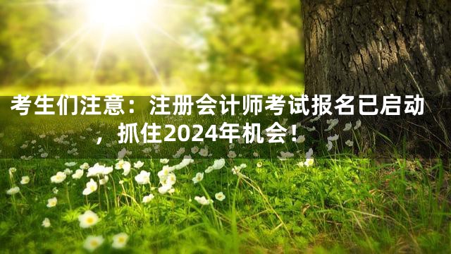 考生们注意：注册会计师考试报名已启动，抓住2024年机会！