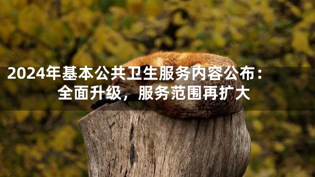 2024年基本公共卫生服务内容公布：全面升级，服务范围再扩大
